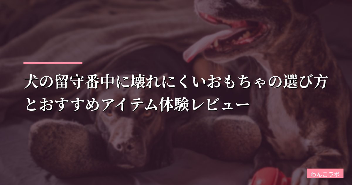 犬の留守番おもちゃおすすめ|壊れない・誤飲しにくい知育玩具の選び方と実体験レビュー【2026年版】