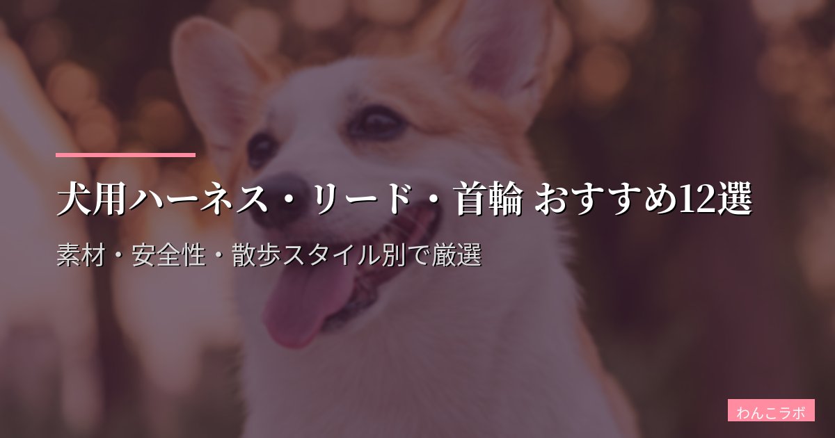 犬用ハーネス・リード・首輪 おすすめ12選【2026年版】素材・安全性・散歩スタイル別で厳選