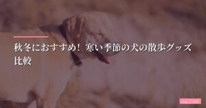 秋冬におすすめ！寒い季節の犬の散歩グッズ比較【防寒・肉球保護特集】