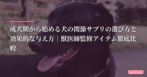 成犬期から始める犬の関節サプリの選び方と効果的な与え方｜獣医師監修アイテム徹底比較【2026年最新版】