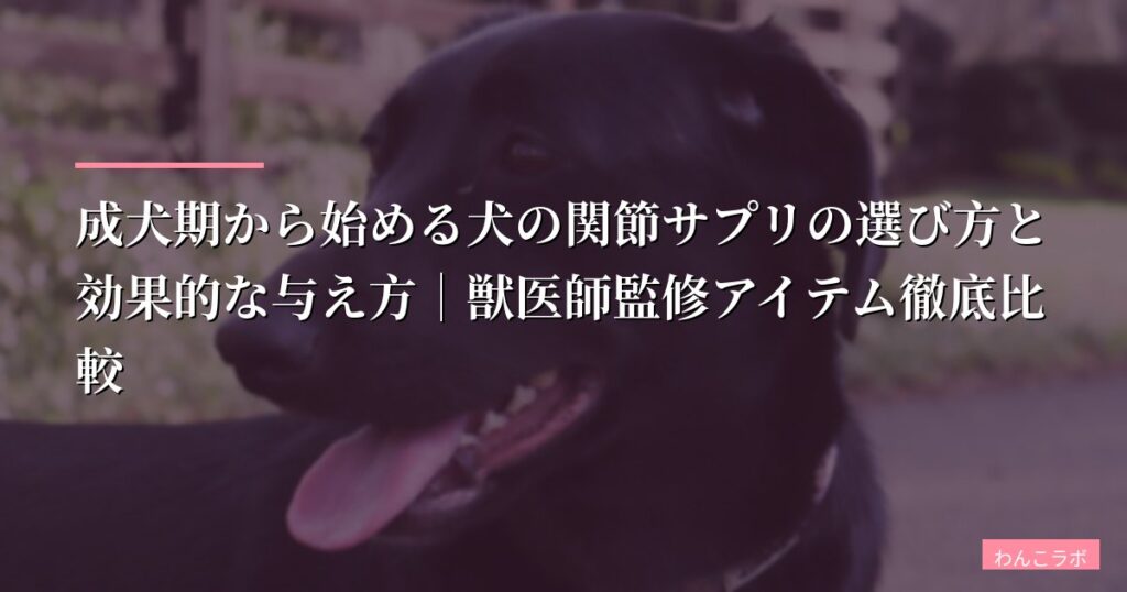 成犬期から始める犬の関節サプリの選び方と効果的な与え方｜獣医師監修アイテム徹底比較【2026年最新版】