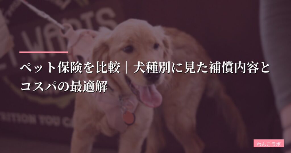 ペット保険を比較｜犬種別に見た補償内容とコスパの最適解【2026年最新】