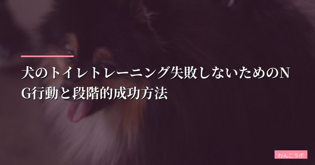 犬のトイレトレーニング失敗しないためのNG行動と段階的成功方法【初心者向け】