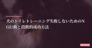 犬のトイレトレーニング失敗しないためのNG行動と段階的成功方法【初心者向け】