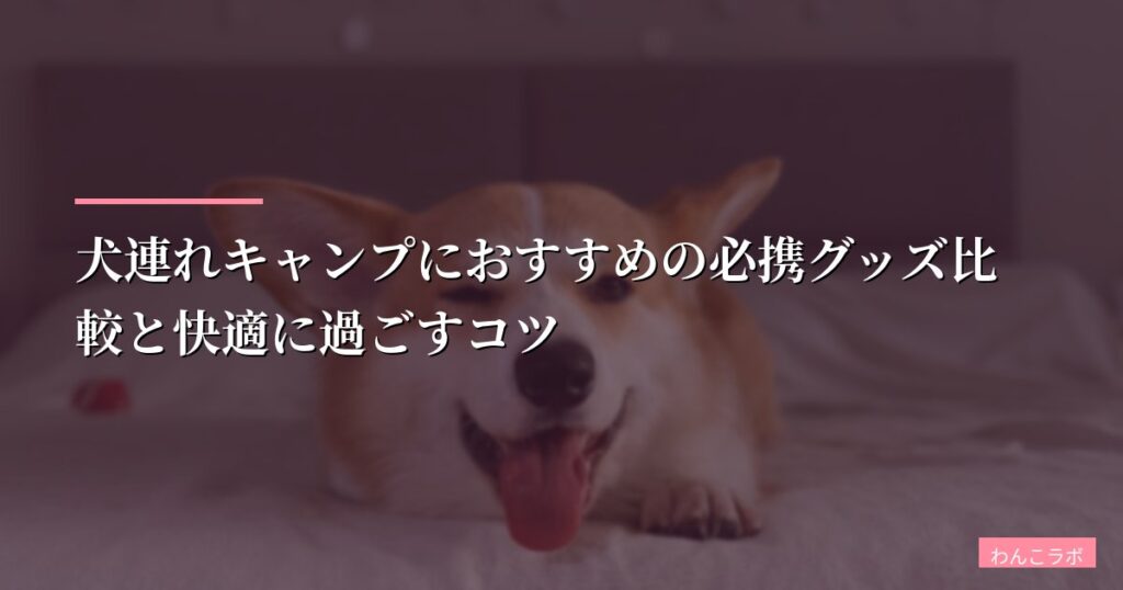 犬連れキャンプにおすすめの必携グッズ比較と快適に過ごすコツ【2026年版】