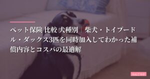 ペット保険 比較 犬種別｜柴犬・トイプードル・ダックス3匹を同時加入してわかった補償内容とコスパの最適解【2026年最新】