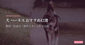 犬 ハーネス おすすめ12選【2026年版】素材・安全性・散歩スタイル別で比較