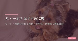 犬 ハーネス おすすめ12選【2026年版】リード・首輪も含めて素材・安全性・犬種別で徹底比較