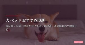 犬 ベッド おすすめ10選【2026年版】低反発・冷感・防水をサイズ別・素材別・洗濯機対応で徹底比較