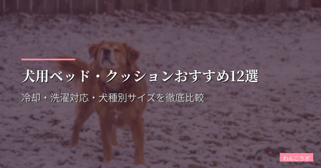 犬用ベッド・クッションおすすめ12選【2026年版】冷却・洗濯対応・犬種別サイズを徹底比較