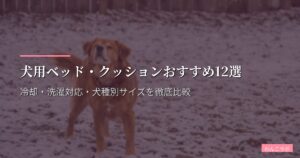 犬用ベッド・クッションおすすめ12選【2026年版】冷却・洗濯対応・犬種別サイズを徹底比較