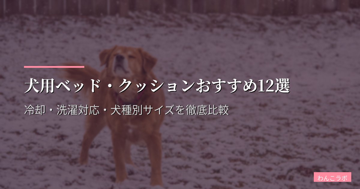 犬用ベッド・クッションおすすめ12選【2026年版】冷却・洗濯対応・犬種別サイズを徹底比較