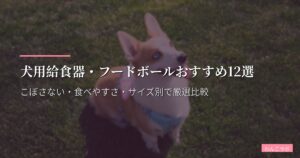 犬用給食器・フードボールおすすめ12選【2026年版】こぼさない・食べやすさ・サイズ別で厳選比較