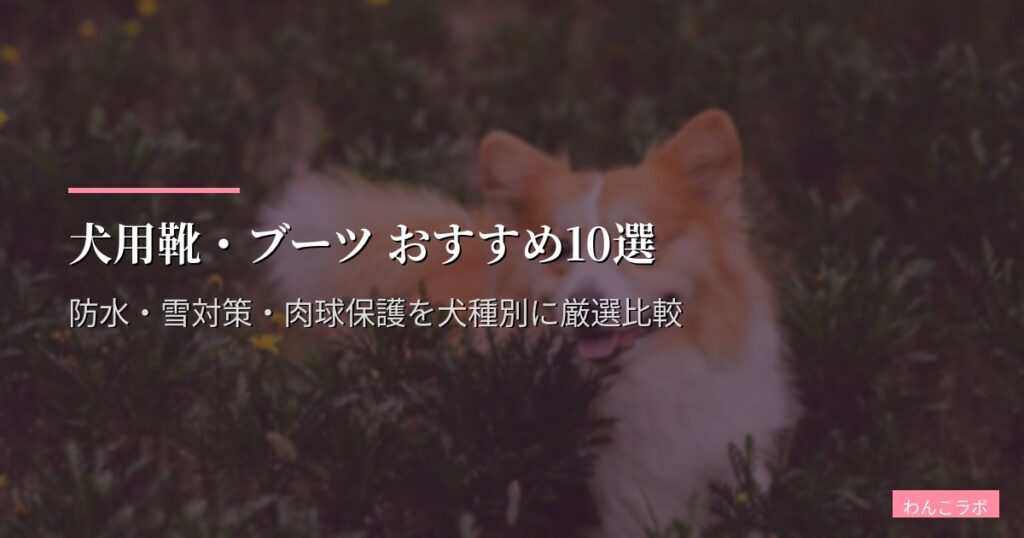 犬用靴・ブーツ おすすめ10選【2026年版】防水・雪対策・肉球保護を犬種別に厳選比較