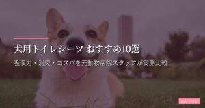 犬用トイレシーツ おすすめ10選【2026年版】吸収力・消臭・コスパを元動物病院スタッフが実測比較