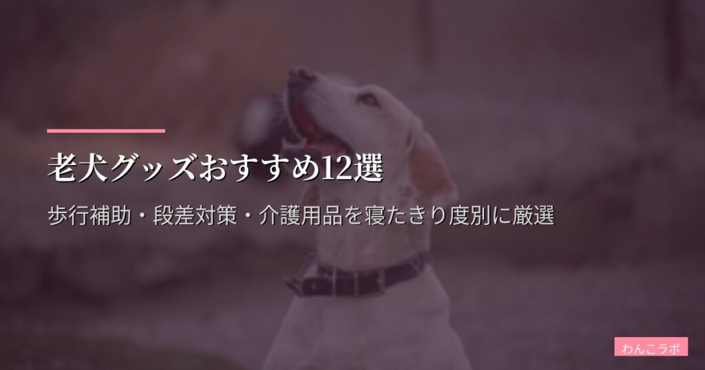 老犬グッズおすすめ12選【2026年版】歩行補助・段差対策・介護用品を寝たきり度別に厳選