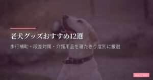 老犬グッズおすすめ12選【2026年版】歩行補助・段差対策・介護用品を寝たきり度別に厳選