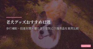 老犬グッズおすすめ12選【2026年版】歩行補助・段差対策・寝たきり度別に介護用品を実用比較