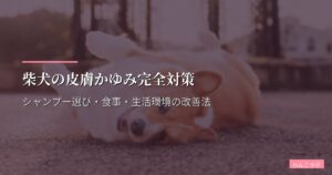 柴犬の皮膚かゆみ完全対策｜シャンプー選び・食事・生活環境の改善法