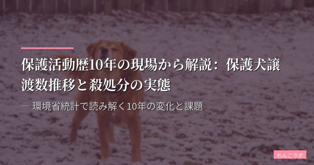 保護活動歴10年の現場から解説：保護犬譲渡数推移と殺処分の実態 ― 環境省統計で読み解く10年の変化と課題