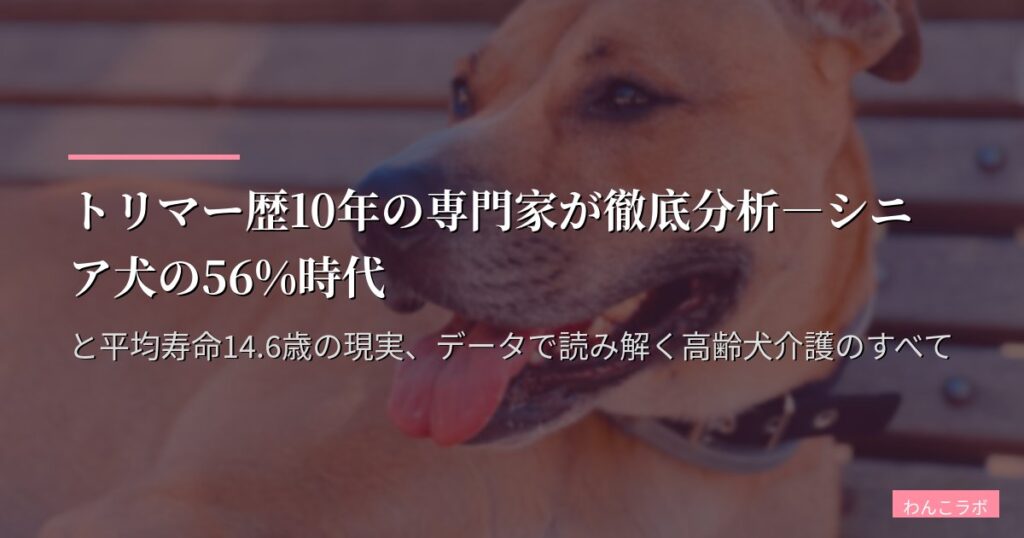 トリマー歴10年の専門家が徹底分析―シニア犬の56%時代と平均寿命14.6歳の現実、データで読み解く高齢犬介護のすべて
