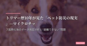 トリマー歴10年が見た「ペット防災の現実」—マイクロチップ義務化後のデータ徹底分析と“避難できない”問題