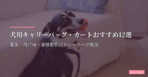 犬用キャリーバッグ・カートおすすめ12選【2026年版】電車・飛行機・車移動別にトレーナーが厳選
