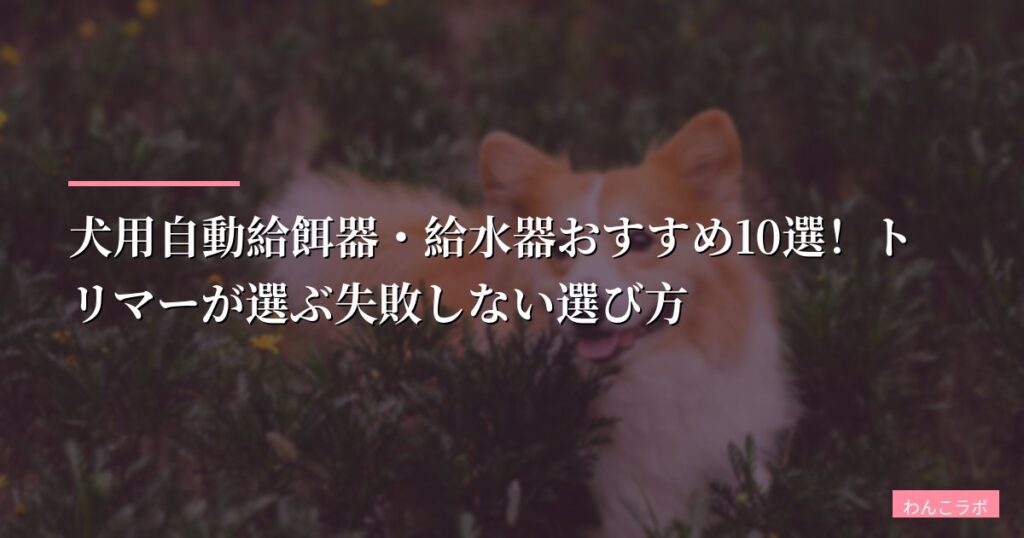 犬用自動給餌器・給水器おすすめ10選！トリマーが選ぶ失敗しない選び方【2026年版】