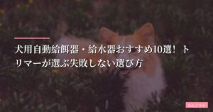 犬用自動給餌器・給水器おすすめ10選！トリマーが選ぶ失敗しない選び方【2026年版】