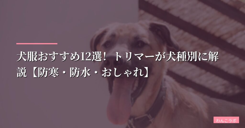 【2026年】犬服おすすめ12選！トリマーが犬種別に解説【防寒・防水・おしゃれ】