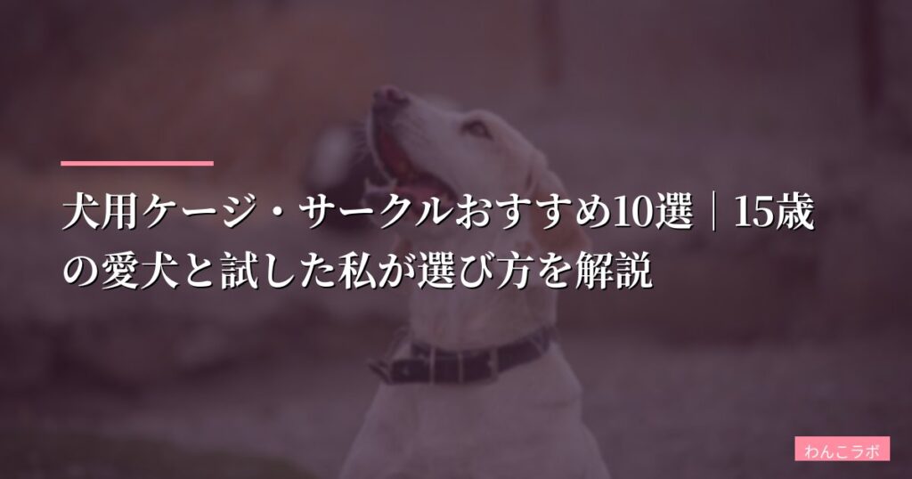 【2026年版】犬用ケージ・サークルおすすめ10選｜15歳の愛犬と試した私が選び方を解説
