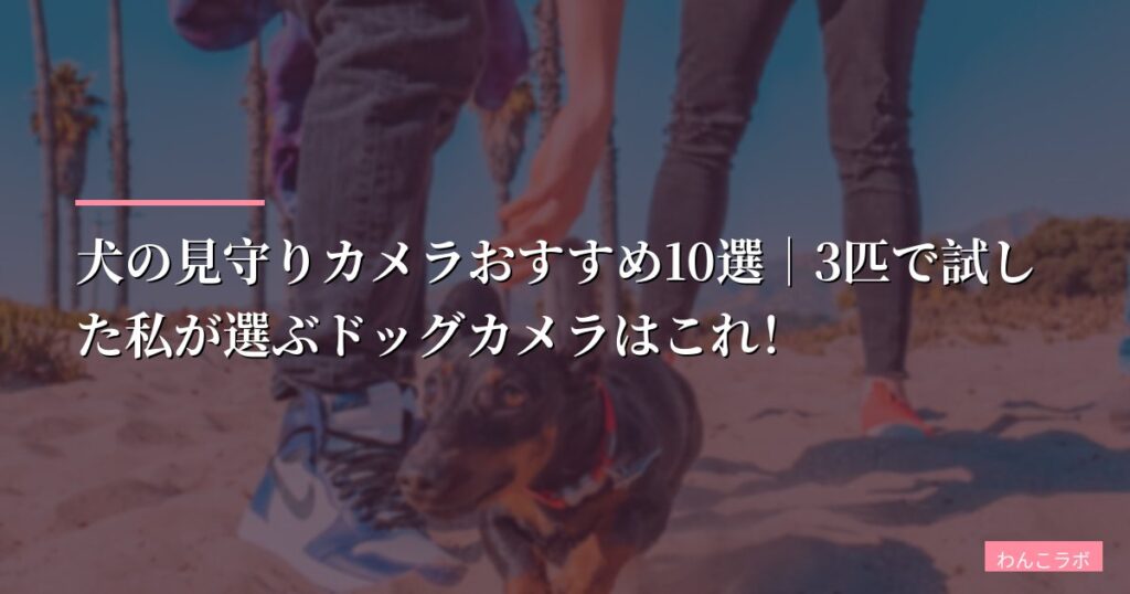 【2026年版】犬の見守りカメラおすすめ10選｜3匹で試した私が選ぶドッグカメラはこれ！