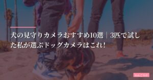 【2026年版】犬の見守りカメラおすすめ10選｜3匹で試した私が選ぶドッグカメラはこれ！