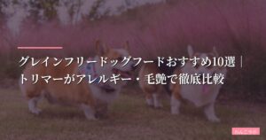 【2026年版】グレインフリードッグフードおすすめ10選｜トリマーがアレルギー・毛艶で徹底比較