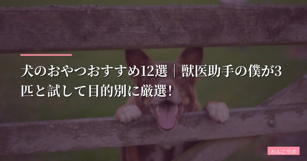 【2026年版】犬のおやつおすすめ12選｜獣医助手の僕が3匹と試して目的別に厳選！