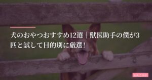 【2026年版】犬のおやつおすすめ12選｜獣医助手の僕が3匹と試して目的別に厳選！