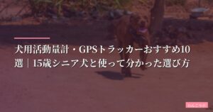 【2026年版】犬用活動量計・GPSトラッカーおすすめ10選｜15歳シニア犬と使って分かった選び方