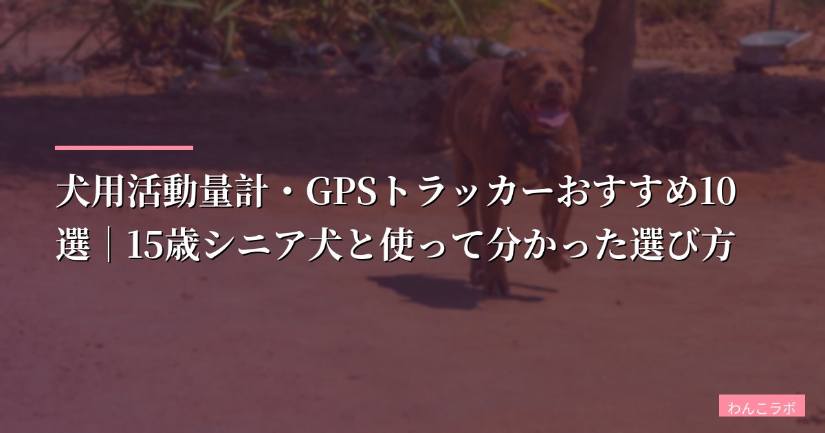 【2026年版】犬用活動量計・GPSトラッカーおすすめ10選|15歳シニア犬と使って分かった選び方