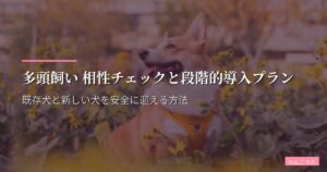 多頭飼い 相性チェックと段階的導入プラン｜既存犬と新しい犬を安全に迎える方法