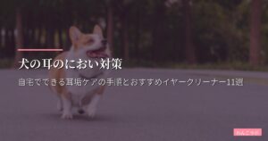 犬の耳のにおい対策｜自宅でできる耳垢ケアの手順とおすすめイヤークリーナー11選