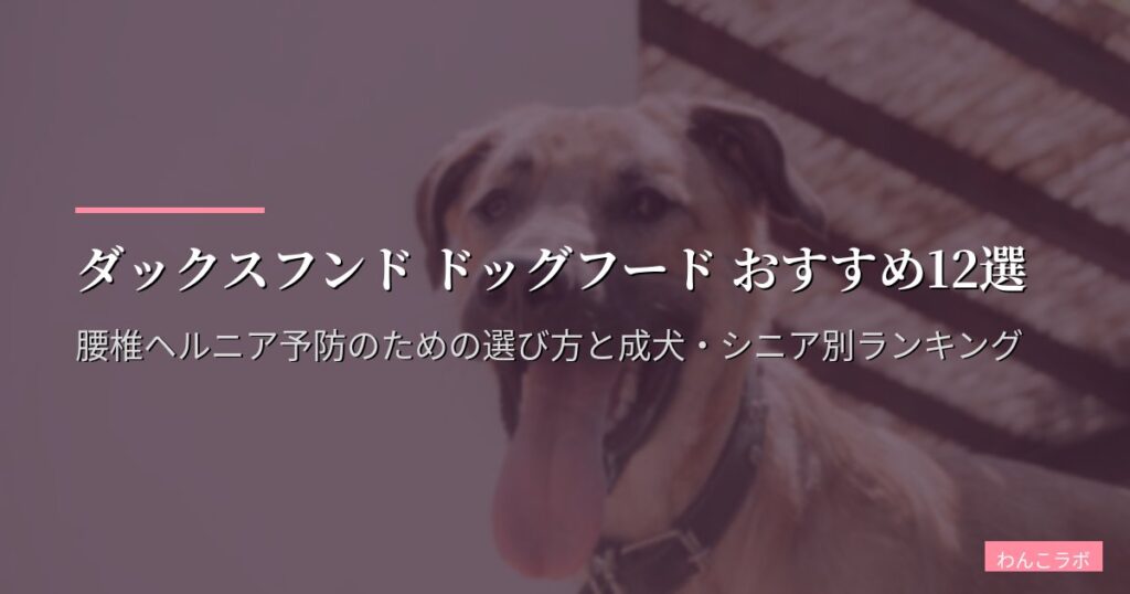 ダックスフンド ドッグフード おすすめ12選|腰椎ヘルニア予防のための選び方と成犬・シニア別ランキング