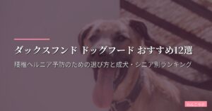 ダックスフンド ドッグフード おすすめ12選｜腰椎ヘルニア予防のための選び方と成犬・シニア別ランキング