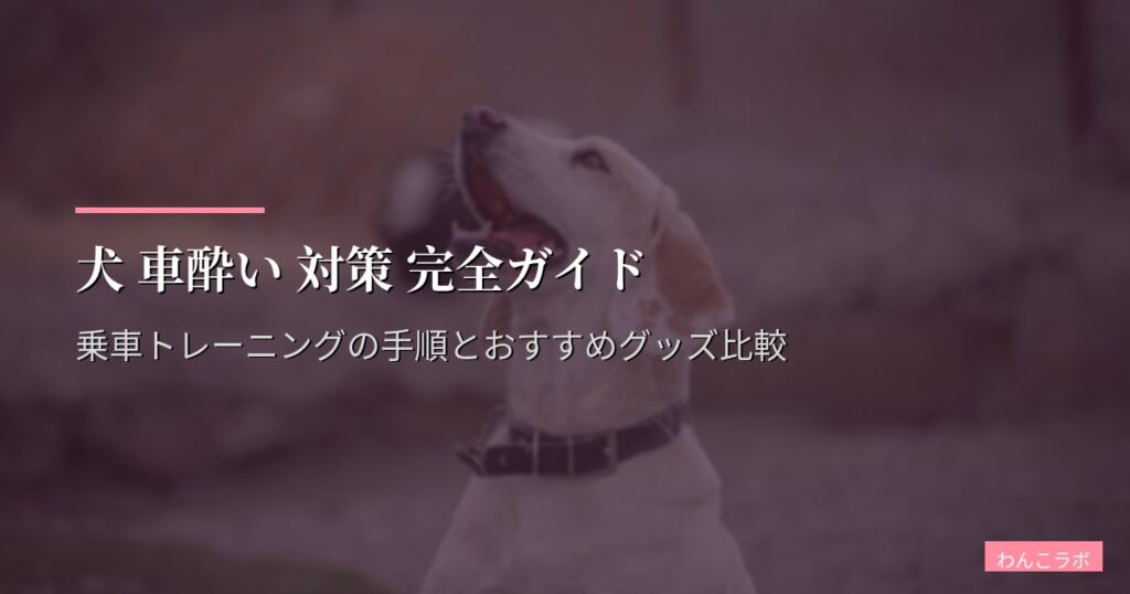 犬 車酔い 対策 完全ガイド|乗車トレーニングの手順とおすすめグッズ比較