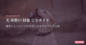 犬 車酔い 対策 完全ガイド｜乗車トレーニングの手順とおすすめグッズ比較