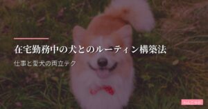 在宅勤務中の犬とのルーティン構築法｜仕事と愛犬の両立テク