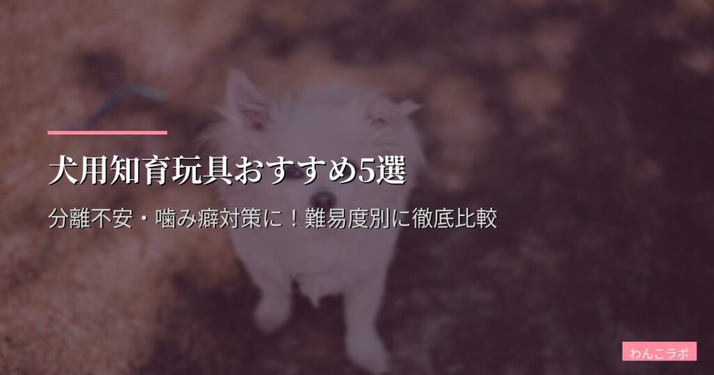 犬用知育玩具おすすめ5選【2026年版】分離不安・噛み癖対策に！難易度別に徹底比較