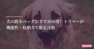 【プロが厳選】犬の散歩バッグおすすめ10選！トリマーが機能性・収納力で徹底比較