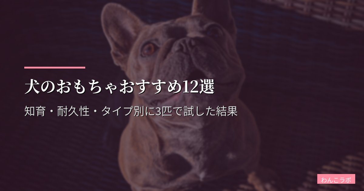 犬のおもちゃおすすめ12選【2026年最新】知育・耐久性・タイプ別に3匹で試した結果