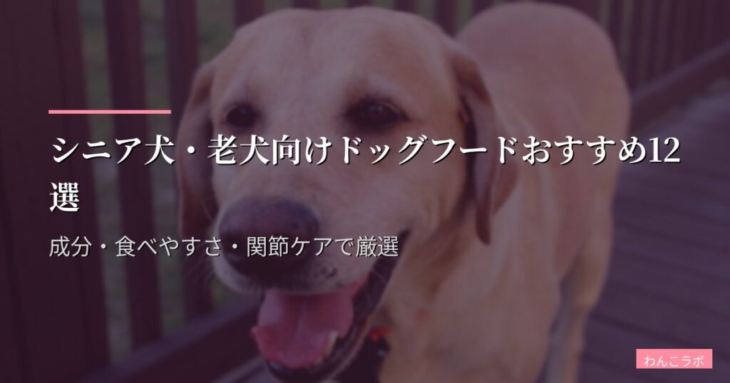 シニア犬・老犬向けドッグフードおすすめ12選【2026年版】成分・食べやすさ・関節ケアで厳選