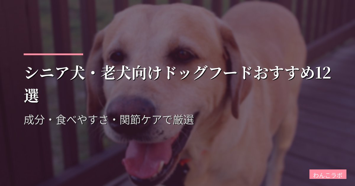 シニア犬・老犬向けドッグフードおすすめ12選【2026年版】成分・食べやすさ・関節ケアで厳選